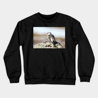 Snow bunting Crewneck Sweatshirt